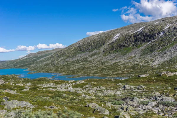 Bergwelt Norwegen Sommer — Stockfoto