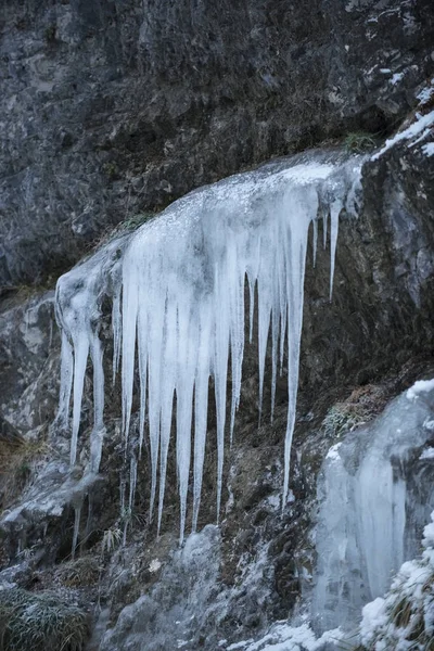 Gyönyörű Vízesés Természetben Háttér — Stock Fotó