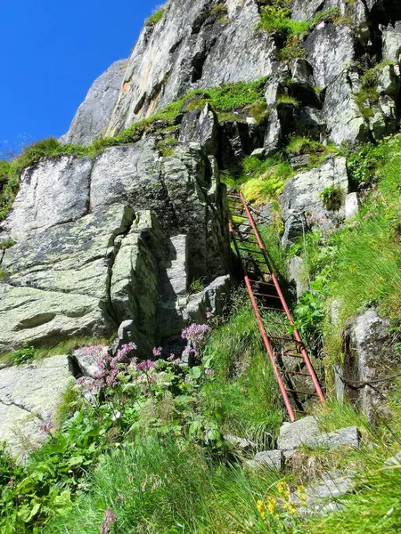 Vacker Utsikt Över Naturen Landskap — Stockfoto