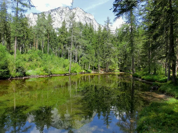 Cross Pond Mountain Background — Stok Foto