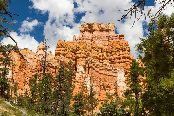 Seltsam Geformte Felsnadeln Bryce Canyon Nationalpark Utah Estados Unidos — Foto de Stock