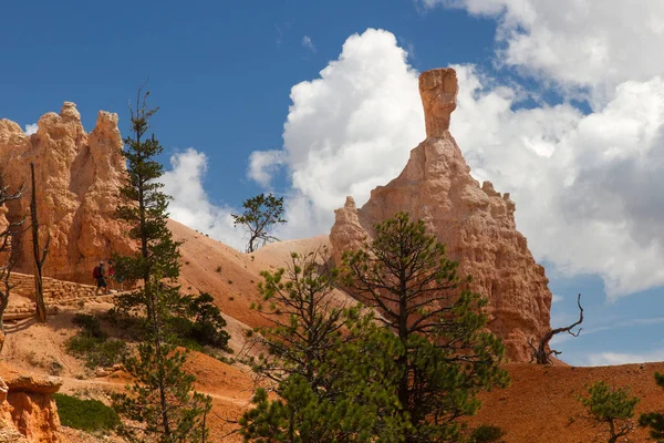 Seltsam Geformte Felsnadeln Bryce Canyon Nationalpark Utah Usa — Stockfoto