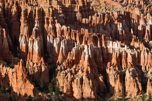 Seltsam Geformte Felsnadeln Bryce Canyon Nationalpark Utah Stati Uniti — Foto Stock