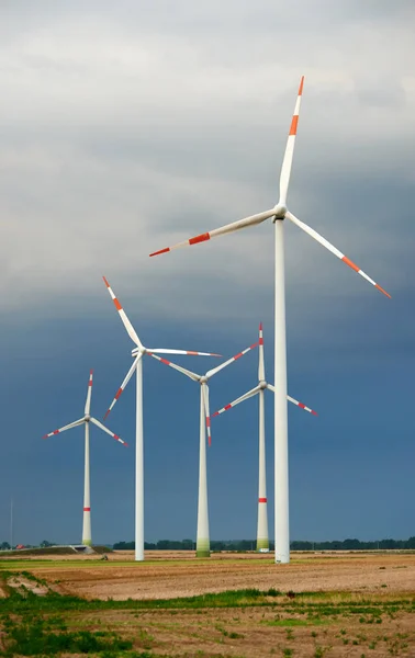 Windkraftpark Mecklenburg Vorpommern — Stockfoto