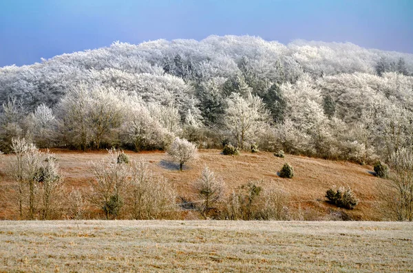 Malebný Pohled Zasněženou Zimní Krajinu — Stock fotografie