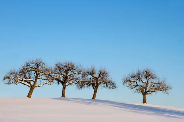 Fond Coloré Pour Noël Nouvelle Carte Vacances Année — Photo