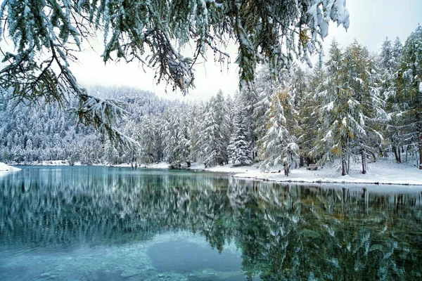 Bella Vista Della Scena Della Natura — Foto Stock