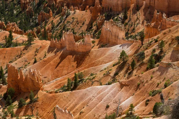 Seltsam Geformte Felsnadeln Bryce Canyon Nationalpark Utah Usa — Stock Photo, Image