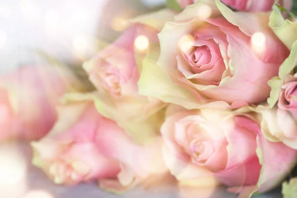 Ramo Con Pastel Color Rosa Primavera Luz Del Sol Bokeh —  Fotos de Stock