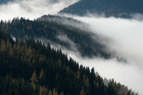 Morgens Nebel Über Den Bergen — Stockfoto