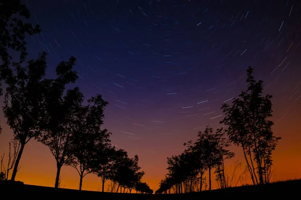 Cielo Notturno Con Alberi Nuvole — Foto Stock