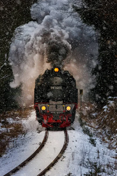 Harz Trilhos Bitola Estreita Selketalbahn — Fotografia de Stock