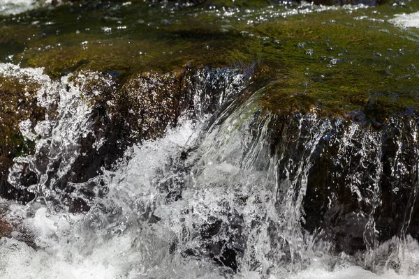 Foto Naturaleza Ambiente Aire Libre — Foto de Stock