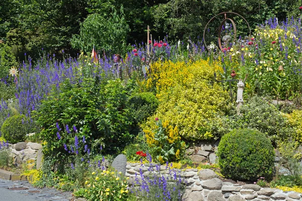 Steingarten Med Olika Växter Och Blommor Våren — Stockfoto