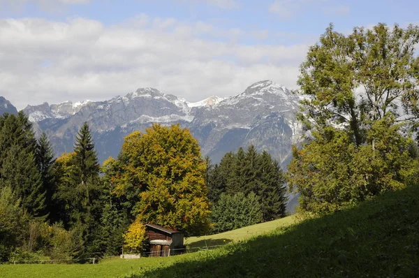 Góry Góry Góry Rofan Sonnwendjoch Dolina Zajazdu Drzewo Drzewa Natura — Zdjęcie stockowe