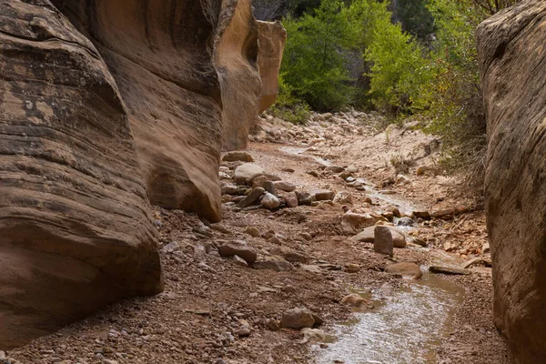 Canyon Nationaldenkmal Utah Usa — Stockfoto