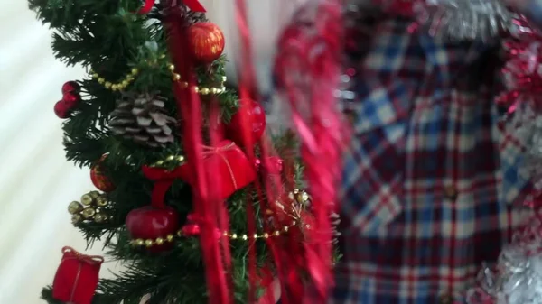 Young Man Dresses Beautiful Little Glowing Christmas Tree — Stock Photo, Image