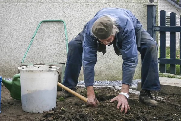 Pensionärer Höjer Trädgården Planteringshål Från — Stockfoto