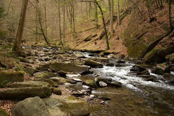 Kleine Rivier Tussen Rotsen Een Bos Stiermarken — Stockfoto