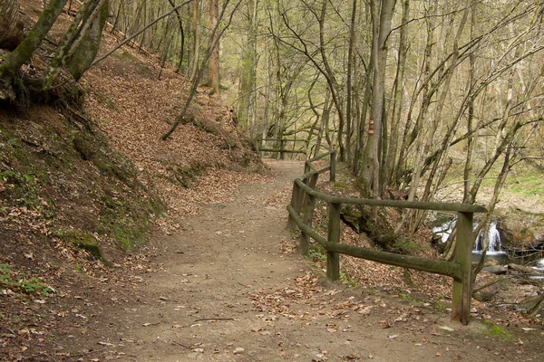 Fortified Hiking Trail Forest Styria — Stock Photo, Image