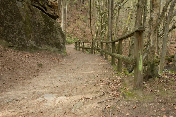Percorso Escursionistico Fortificato Una Foresta Stiria — Foto Stock
