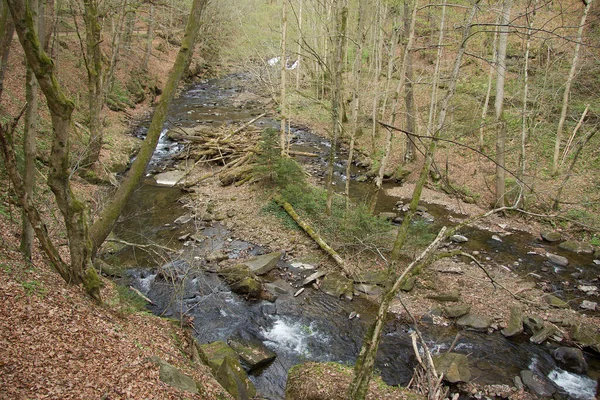 Kleine Rivier Tussen Rotsen Een Bos Stiermarken — Stockfoto