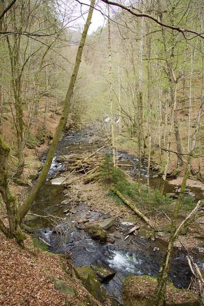 Petite Rivière Entre Les Rochers Dans Une Forêt Styrie — Photo