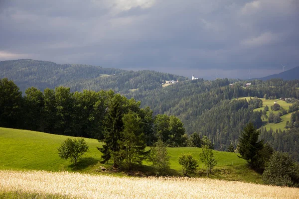 Landschap Met Maïsvelden Weiden Bossen Bewolkte Lucht Stiermarken — Stockfoto