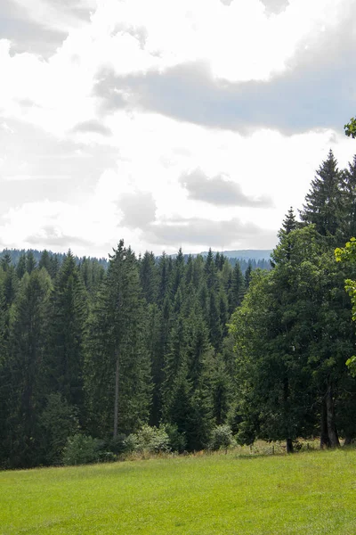 Táj Lövés Egy Legelő Rétek Erdők Alatt Felhős Stájerországban — Stock Fotó