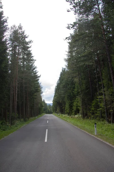New Paved Road Styria — Stock Photo, Image