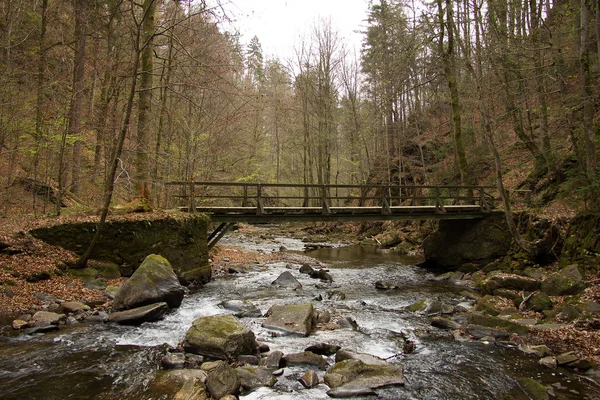 Puente Sobre Pequeño Río Entre Rocas Bosque Estiria — Foto de Stock
