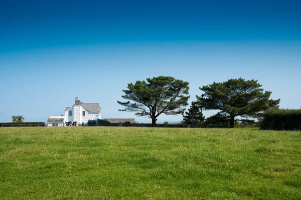 Landschaftliches Bauernhaus Mit Zwei Bäumen Einer Ländlichen Gegend Der Nähe — Stockfoto