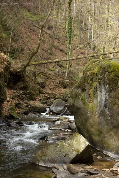 Kleine Rivier Tussen Rotsen Een Bos Stiermarken — Stockfoto