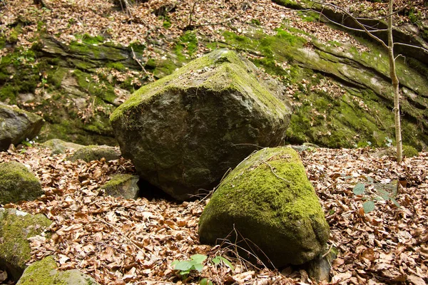 시아의 바위들 — 스톡 사진