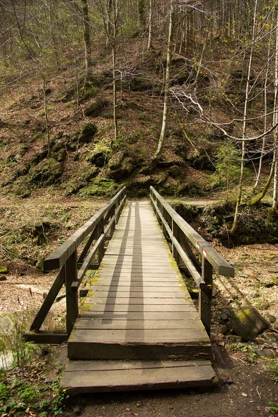 Γέφυρα Πάνω Από Ένα Μικρό Ποτάμι Ανάμεσα Βράχια Ένα Δάσος — Φωτογραφία Αρχείου