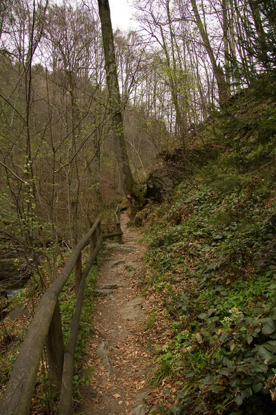 Erődített Túraútvonal Egy Erdőben Stájerországban — Stock Fotó