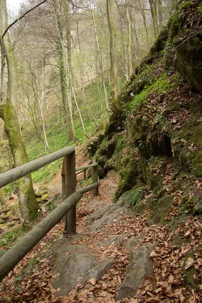 Percorso Escursionistico Fortificato Una Foresta Stiria — Foto Stock