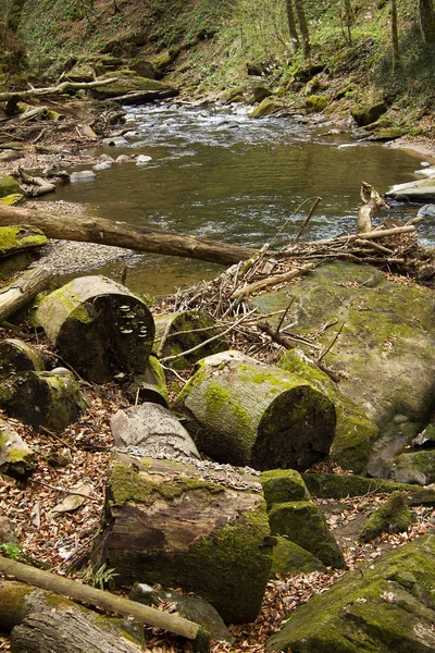 Pequeno Rio Entre Rochas Uma Floresta Styria — Fotografia de Stock