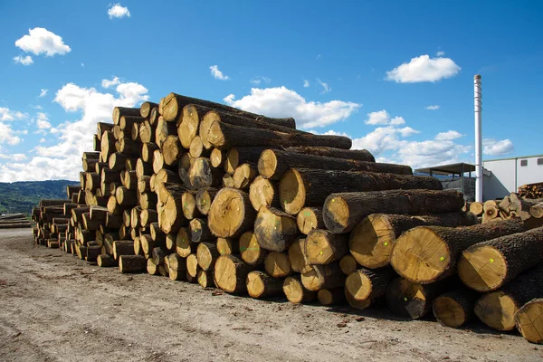 Sliced U200B U200Blogs Sawmill Styria — стоковое фото