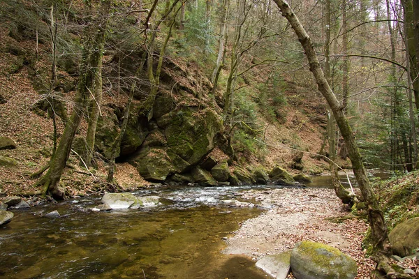 Petite Rivière Entre Les Rochers Dans Une Forêt Styrie — Photo