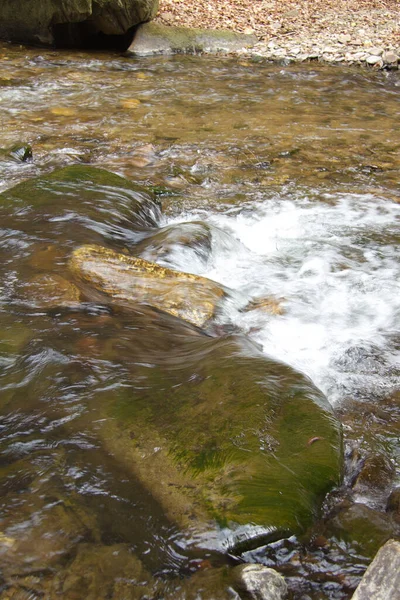 Μικρό Ποτάμι Ανάμεσα Βράχια Ένα Δάσος Στην Στυρία — Φωτογραφία Αρχείου