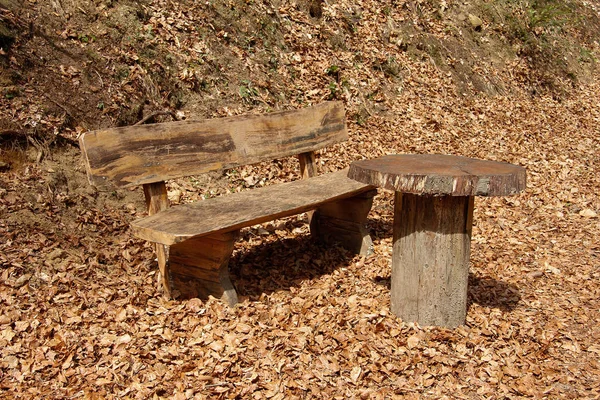 Dřevěná Lavička Dřevěný Stůl Vedle Turistické Stezky Lese Styrii — Stock fotografie