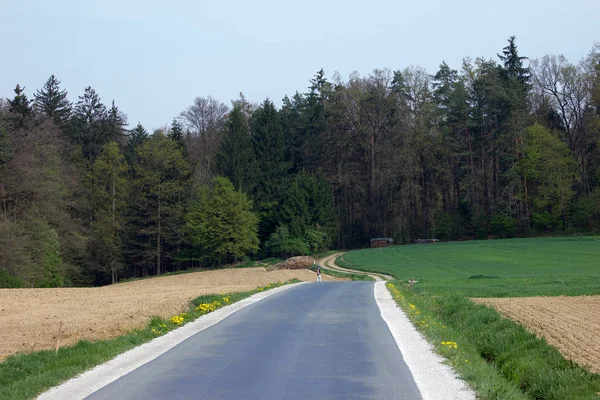 Strada Asfaltata Tra Campi Foreste Cielo Nuvoloso Stiria — Foto Stock