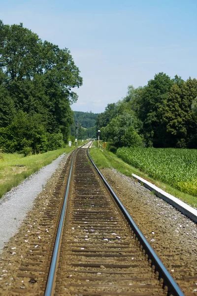 Camino Recto Entre Prados Estiria — Foto de Stock