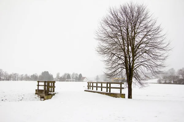 Мост Дерево Зимнем Пейзаже Большим Количеством Снега Стирии — стоковое фото