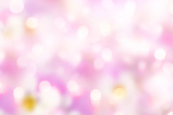 Background Pink Pastel Tone Bokeh Easter Spring — Stock Photo, Image