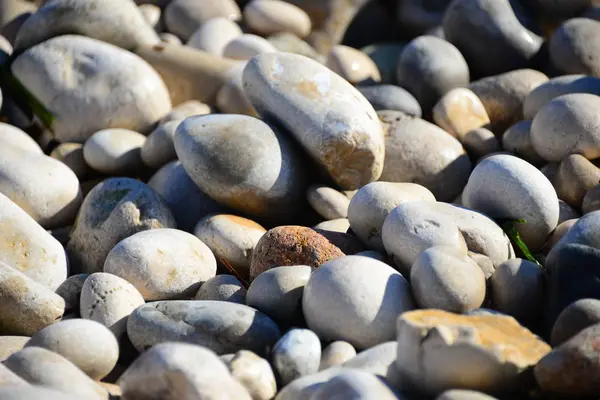 Stones Mediterranean Sea Spain — Stock Photo, Image