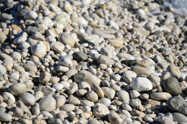 スペインの地中海にある石は — ストック写真