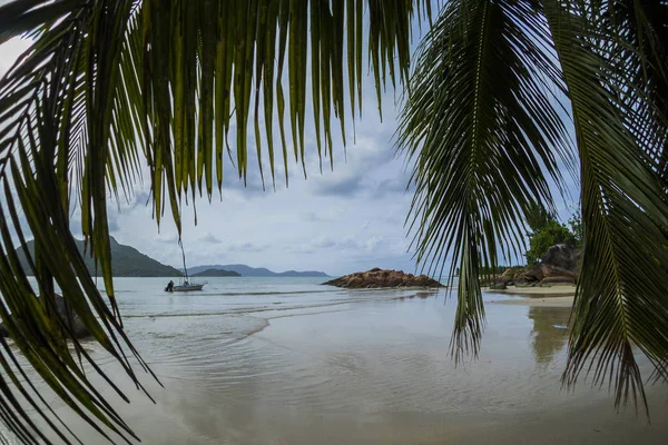 Seychely Praslin Anse Madge — Stock fotografie