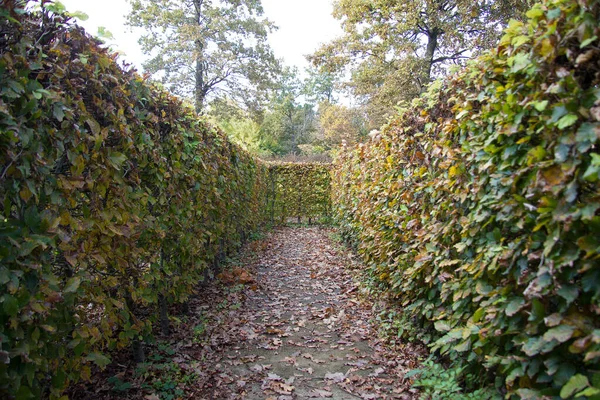 Pfad Einem Labyrinth Der Steiermark — Stockfoto